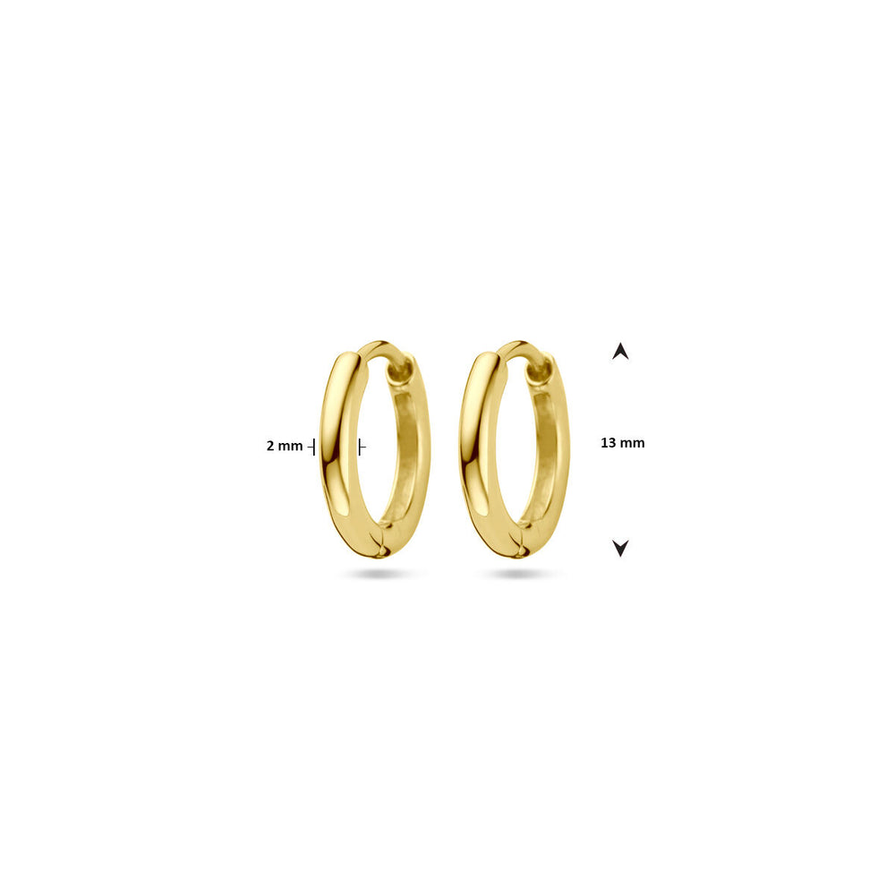 Mooie basic oorringen verguld.